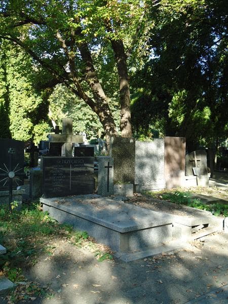 Zdjęcie grobu Henryk Gontarski (1)