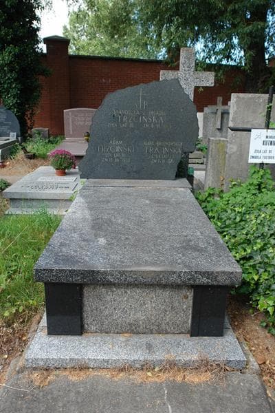 Zdjęcie grobu Adam Trzciński (1)