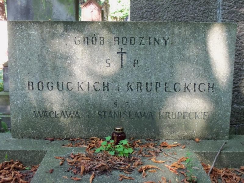 Zdjęcie grobu Boguccy (2)