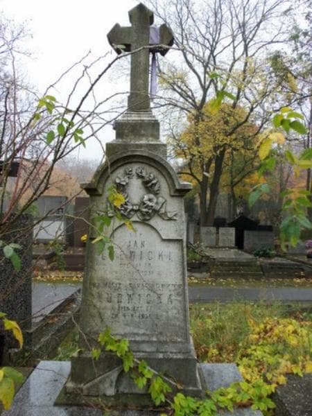 Zdjęcie grobu Ewa Maria Ludwicka (2)
