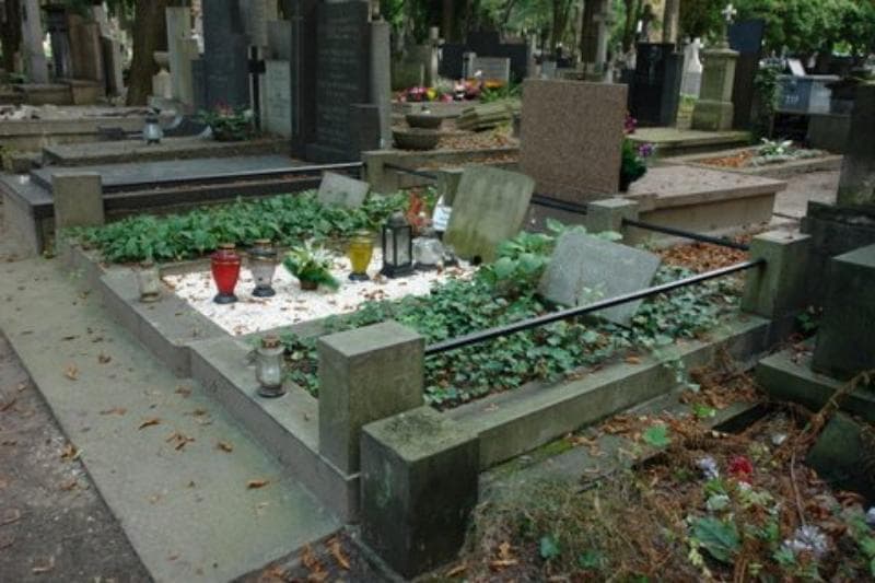 Zdjęcie grobu Janina Abramowicz (2)