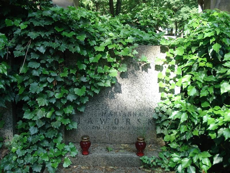Zdjęcie grobu Stanisław Jaworski (1)