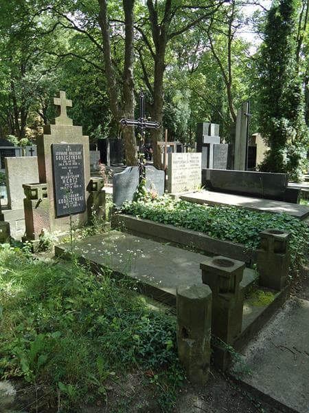 Zdjęcie grobu Zdzisław Goszczyński (1)