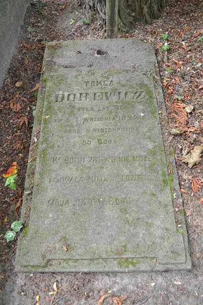 Zdjęcie grobu Tekla Borewicz (2)