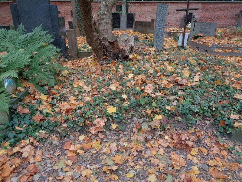 Zdjęcie grobu: Pole Grobowe
