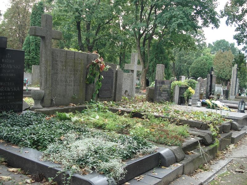 Zdjęcie grobu Henryka Zdziarska (1)