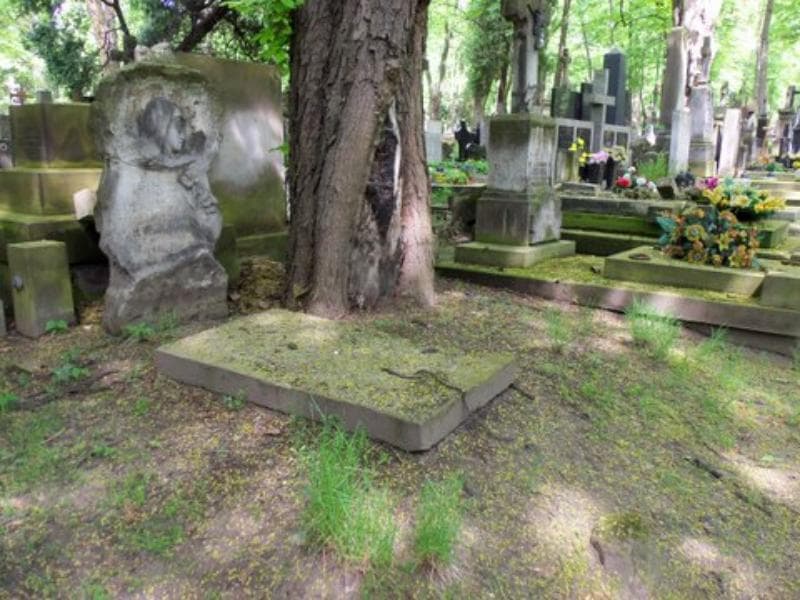 Zdjęcie grobu Józefa Kmicińska (1)