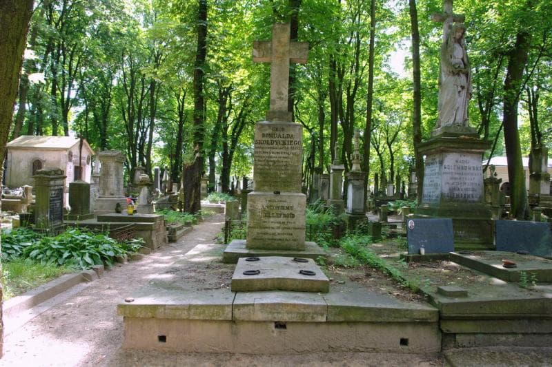 Zdjęcie grobu Franciszek De Bellefroid (1)