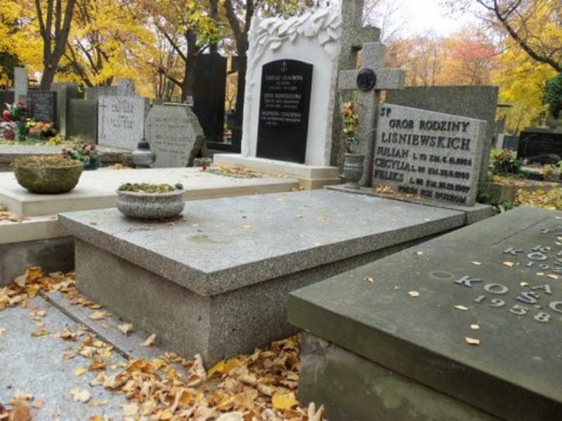 Zdjęcie grobu Julian Liśniewski (1)
