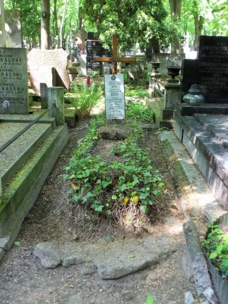 Zdjęcie grobu: Kazimierz Lewenstam