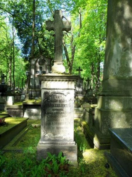 Zdjęcie grobu Ignacy Błażej Dobrzelewski (1)
