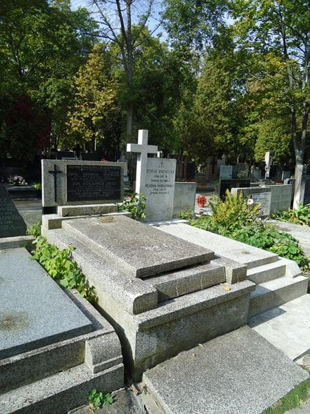Zdjęcie grobu Zofia Bogorya Maciesza (1)