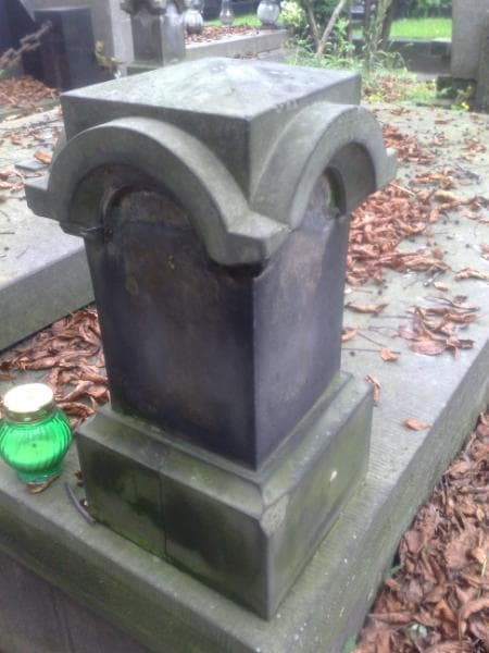 Zdjęcie grobu Walczakiewiczowie (2)
