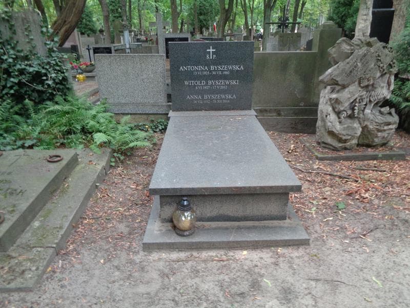 Zdjęcie grobu Witold Byszewski (1)