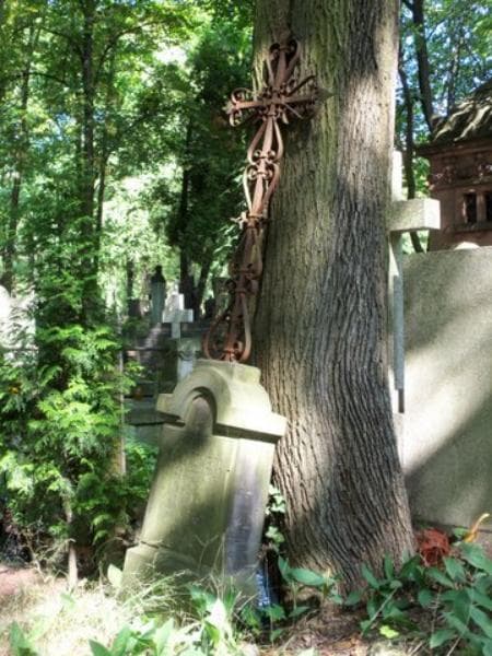 Zdjęcie grobu Marja Kołakowska (2)