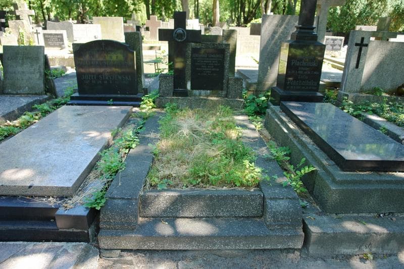 Zdjęcie grobu Aleksander Semkowicz (1)