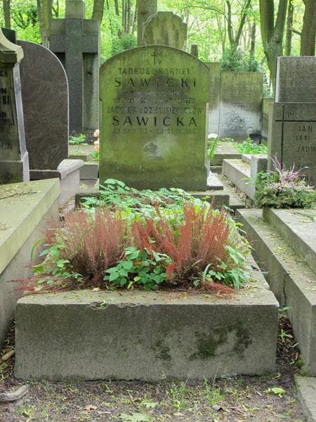 Zdjęcie grobu: Tadeusz Kornel Sawicki
