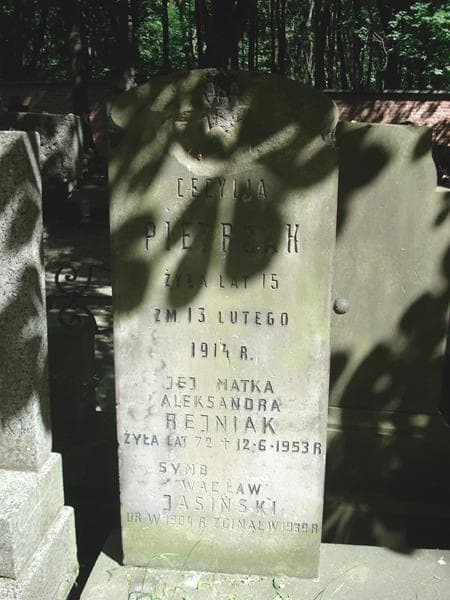 Zdjęcie grobu Wacław Jasiński (1)