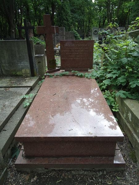 Zdjęcie grobu: Stanisław Trzeszczkowski
