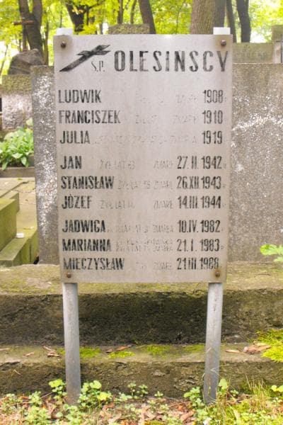 Zdjęcie grobu Franciszek Olesiński (2)