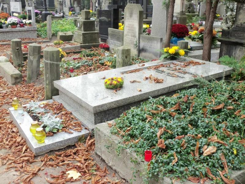 Zdjęcie grobu Antoni Bossak (1)
