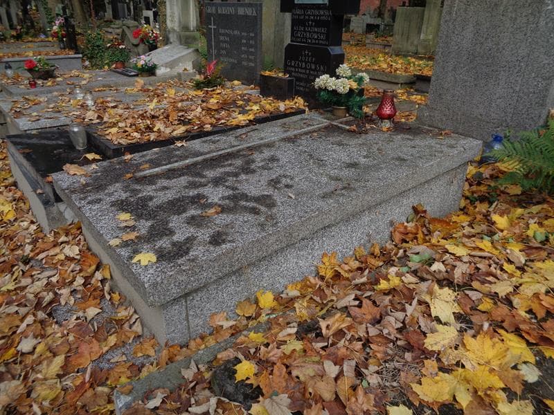 Zdjęcie grobu: Stefan Krzywiński