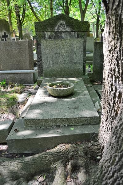 Zdjęcie grobu Edward Nieściuszko-Bujnicki (1)