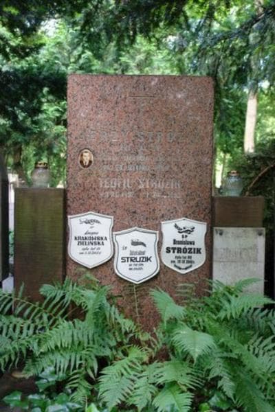 Zdjęcie grobu Teofil Strózik (2)
