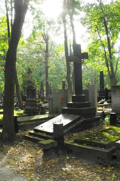 Zdjęcie grobu Arkuszewski (1)