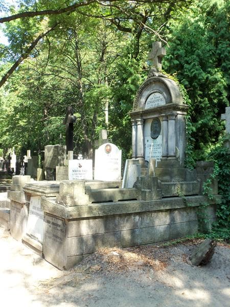 Zdjęcie grobu Feliks Lewandowski (1)