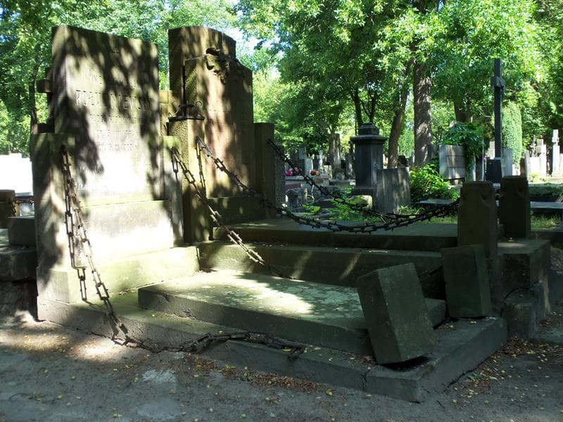 Zdjęcie grobu Władysław Szenderowicz (1)