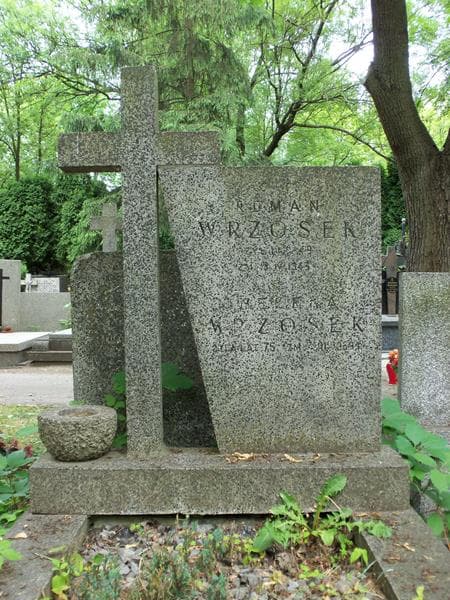 Zdjęcie grobu Helena Wrzosek (2)
