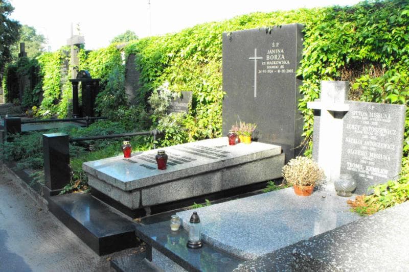 Zdjęcie grobu Janina Borza (1)