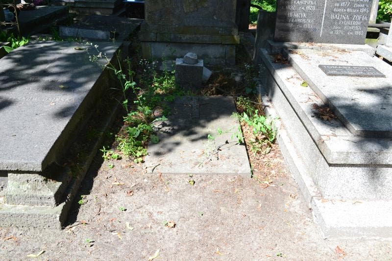 Zdjęcie grobu Juljan Głodowski (1)