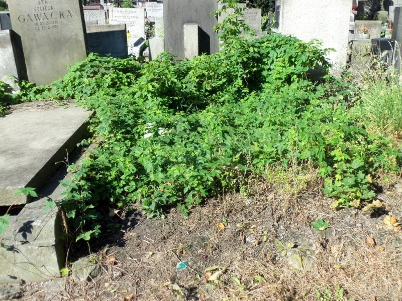 Zdjęcie grobu: Anonim