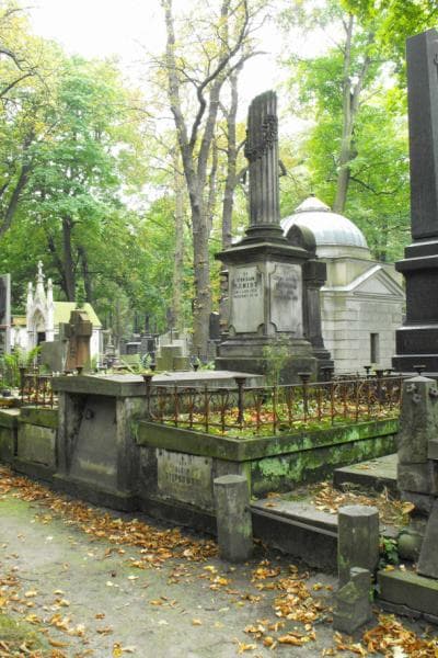 Zdjęcie grobu Albin Stępkowski (1)