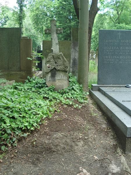Zdjęcie grobu: ... Dąbrowska