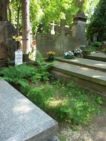 Zdjęcie grobu Marianna Tracikiewicz (1)