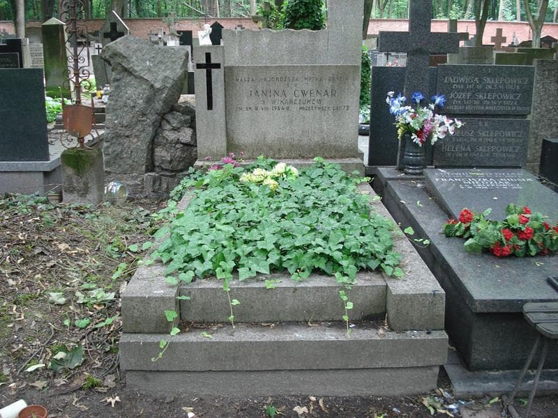 Zdjęcie grobu: Janina Cwenar