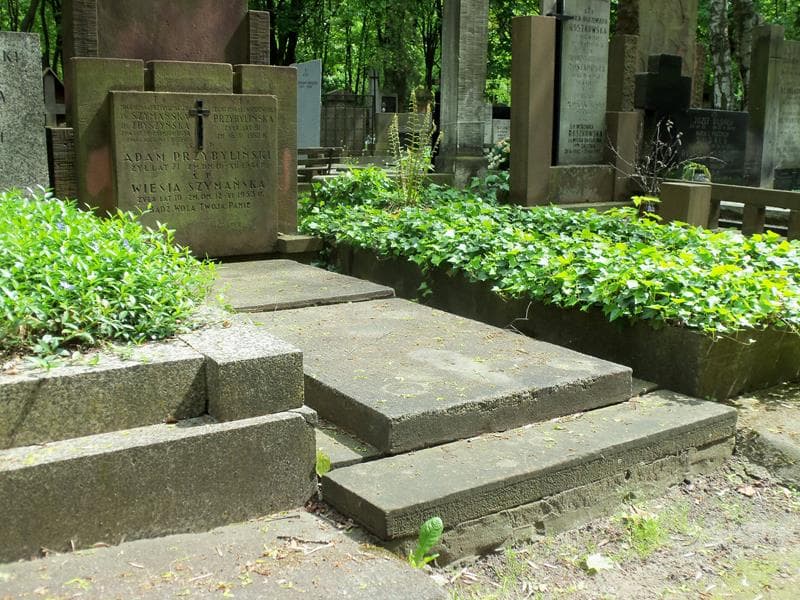 Zdjęcie grobu Leontyna Przybylińska (1)
