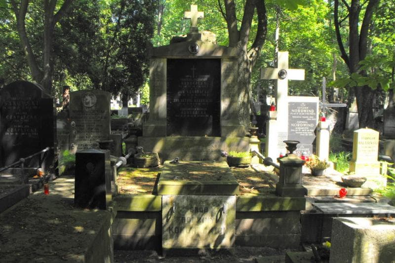 Zdjęcie grobu Eliza Emilia Chluska (1)