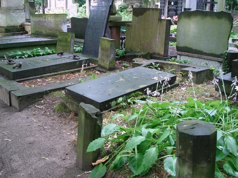 Zdjęcie grobu: Rudolf Hermelin