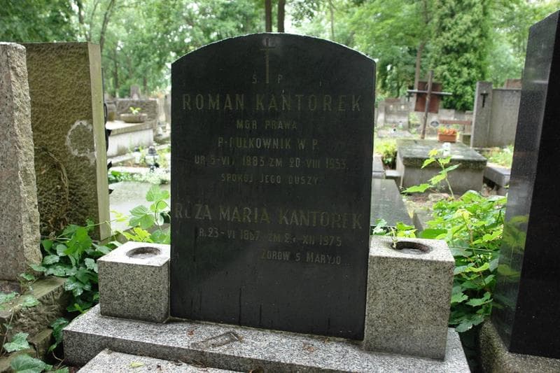 Zdjęcie grobu Stanisław Dąbrowiecki (2)