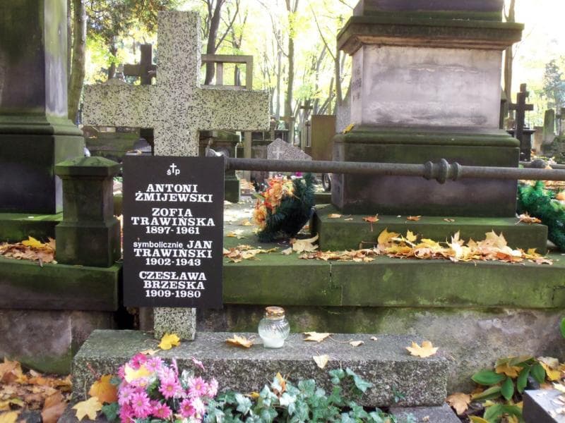 Zdjęcie grobu Antoni Żmijewski (1)