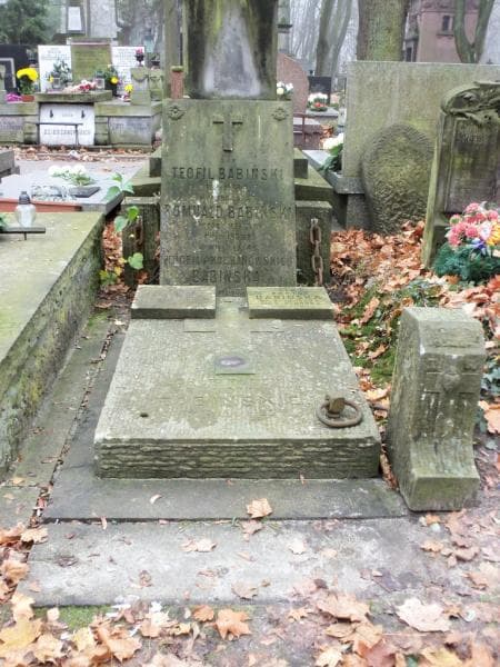 Zdjęcie grobu: Teofil Babiński