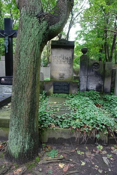 Zdjęcie grobu Helena Zadarnowska (1)