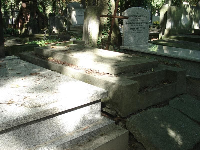 Zdjęcie grobu Władysław Stokowski (1)