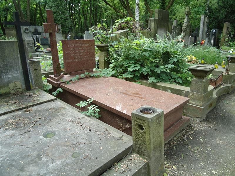 Zdjęcie grobu Stanisław Trzeszczkowski (1)