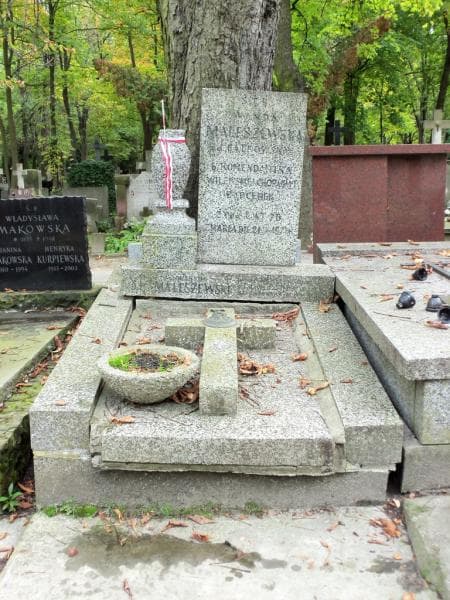 Zdjęcie grobu: Wiktor Maleszewski