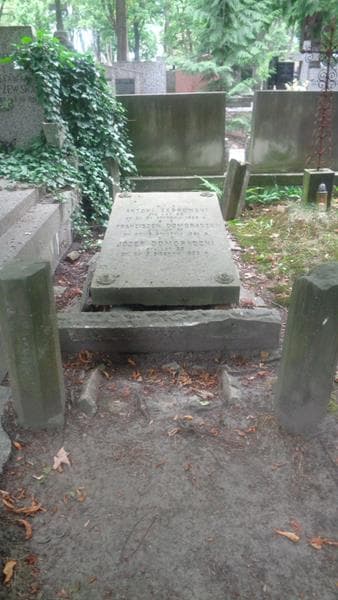 Zdjęcie grobu Józef Domoradzki (1)